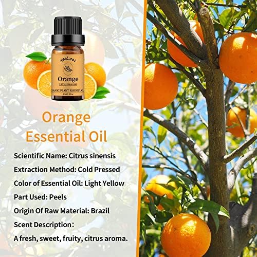 Yetius esencijalno ulje narančasto esencijalno ulje organsko ulje esencijalno ulje aromaterapija