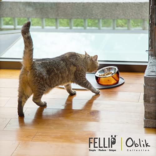 Felli PET Whisker Stress Prigodno podignuta kutna mačka mokra posuda od nehrđajućeg čelika plitka jela